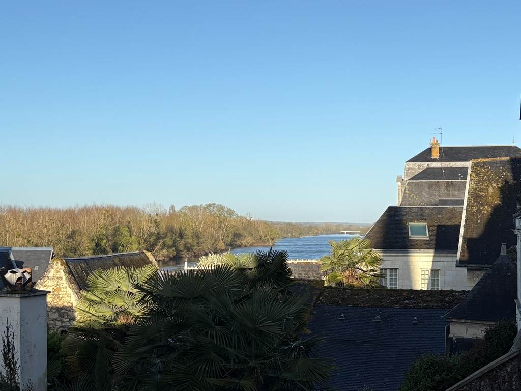 gite-deux-couronnes-chinon-vue vienne