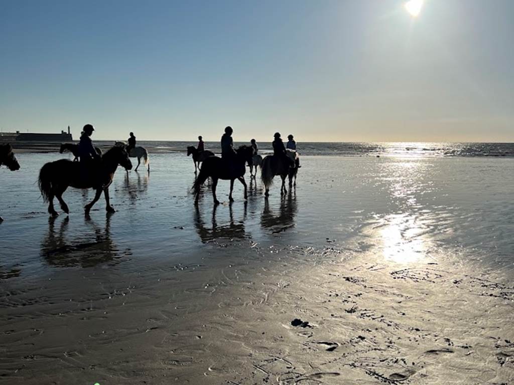 balade a cheval sur la plage Mers les bains