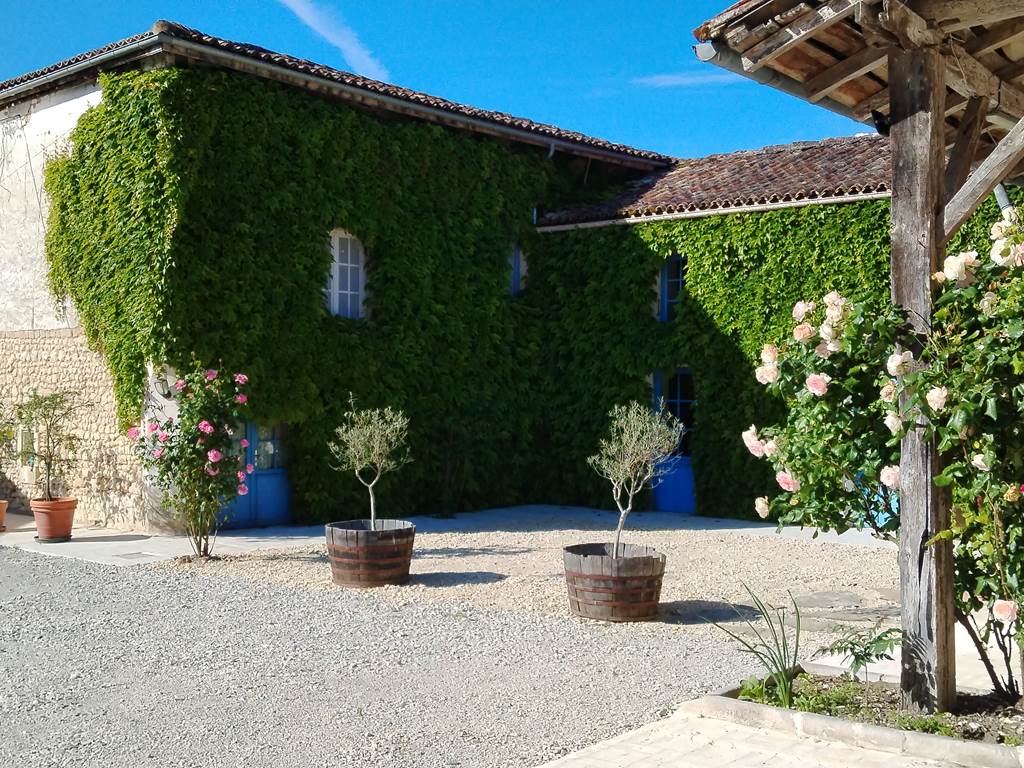 cour