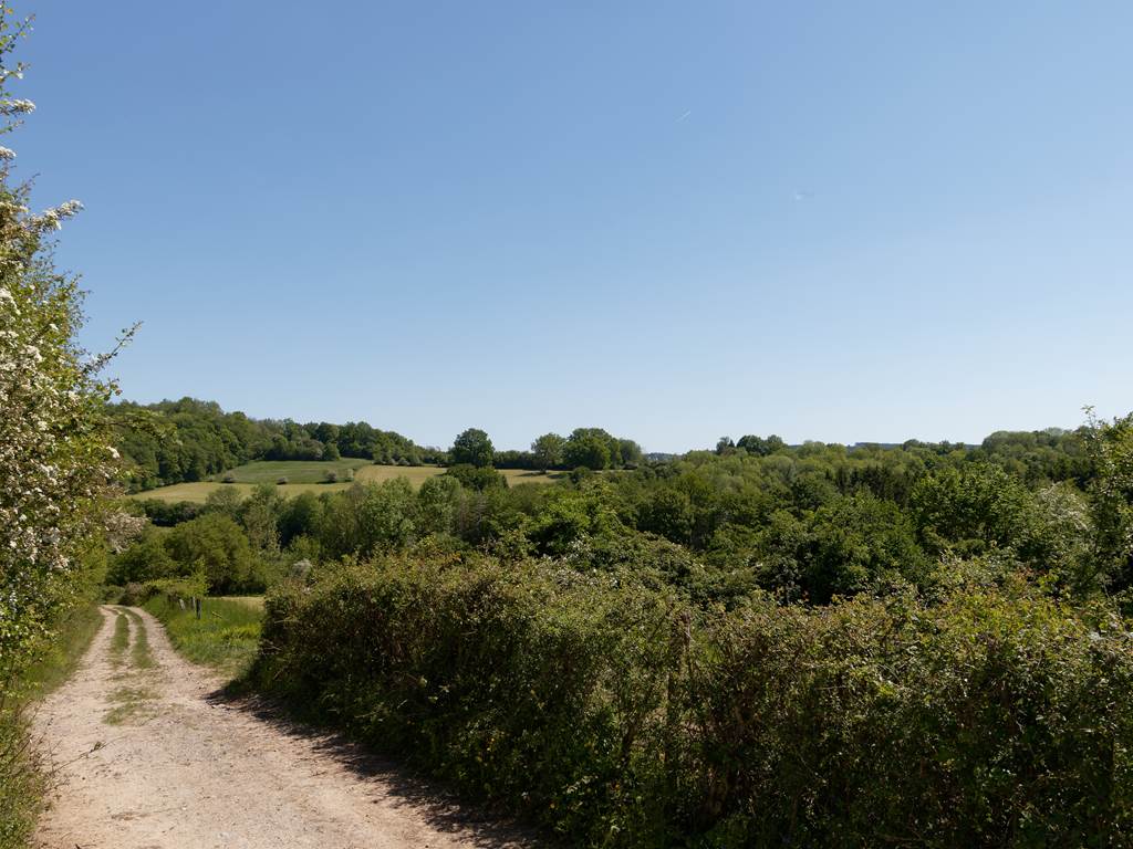 Chemin de promenade