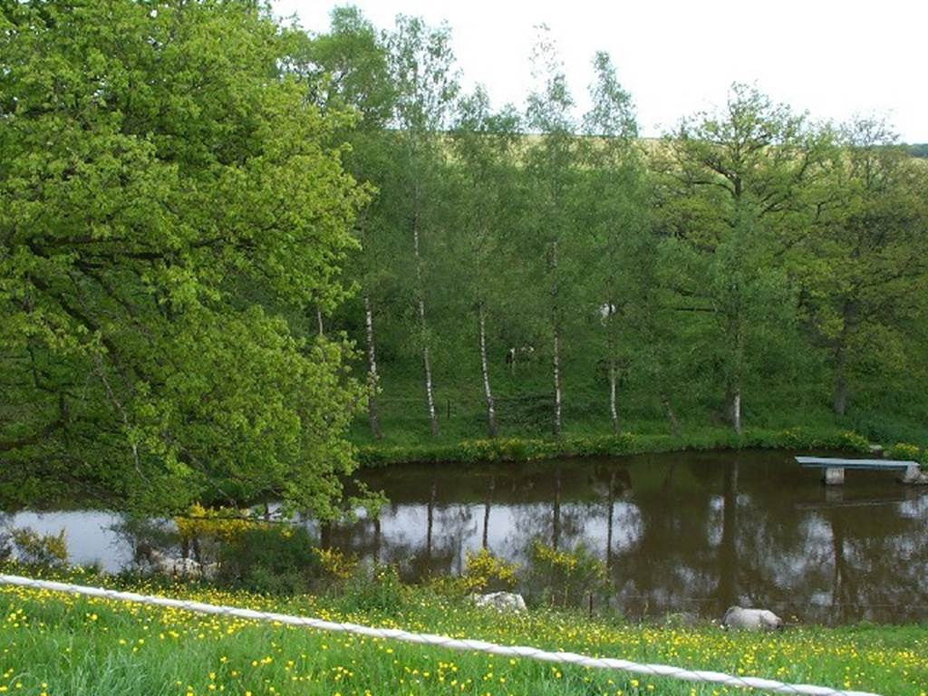 Espace de jeux des canards, hérons, ragondins et pécheurs