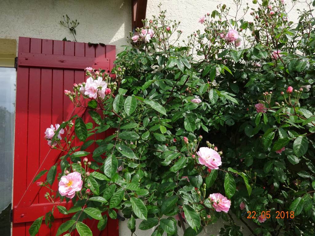 Gîte n°19G3041 "Les Mésanges" – CONCEZE