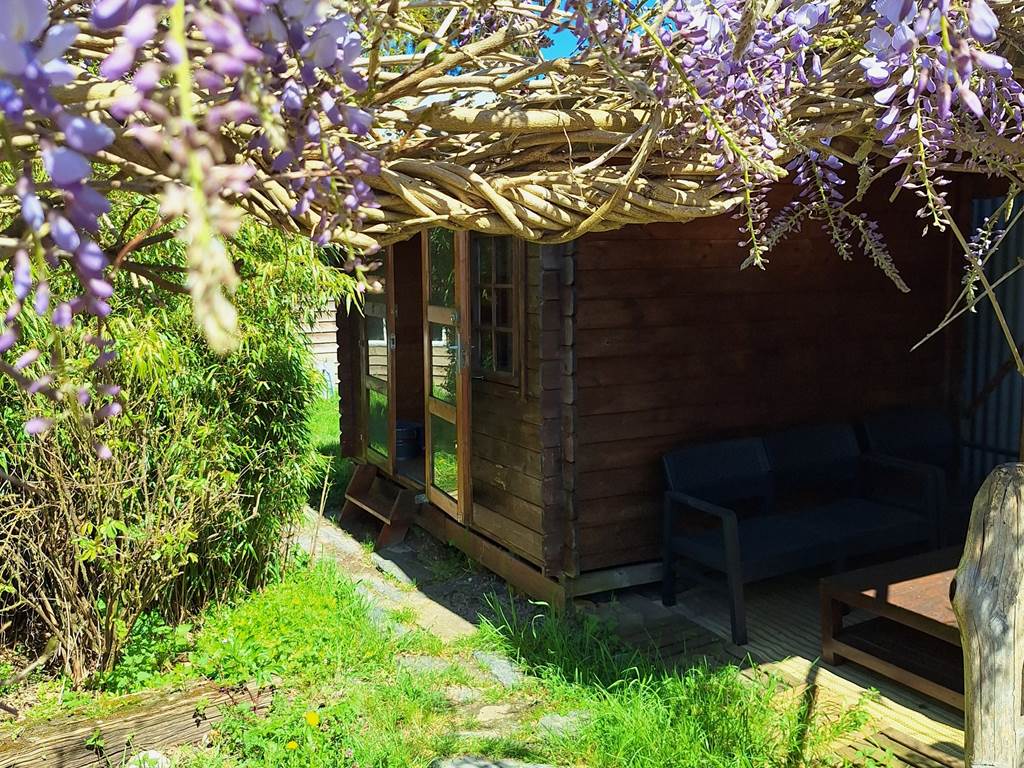 chalet-bois-sous-glycine-hebergement-nature-masserac.jpg
