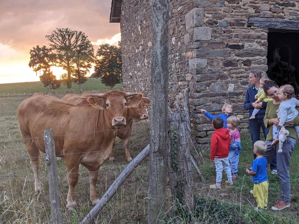 Gîte n°19G1117 "Gîte des papous" – SAINT JAL