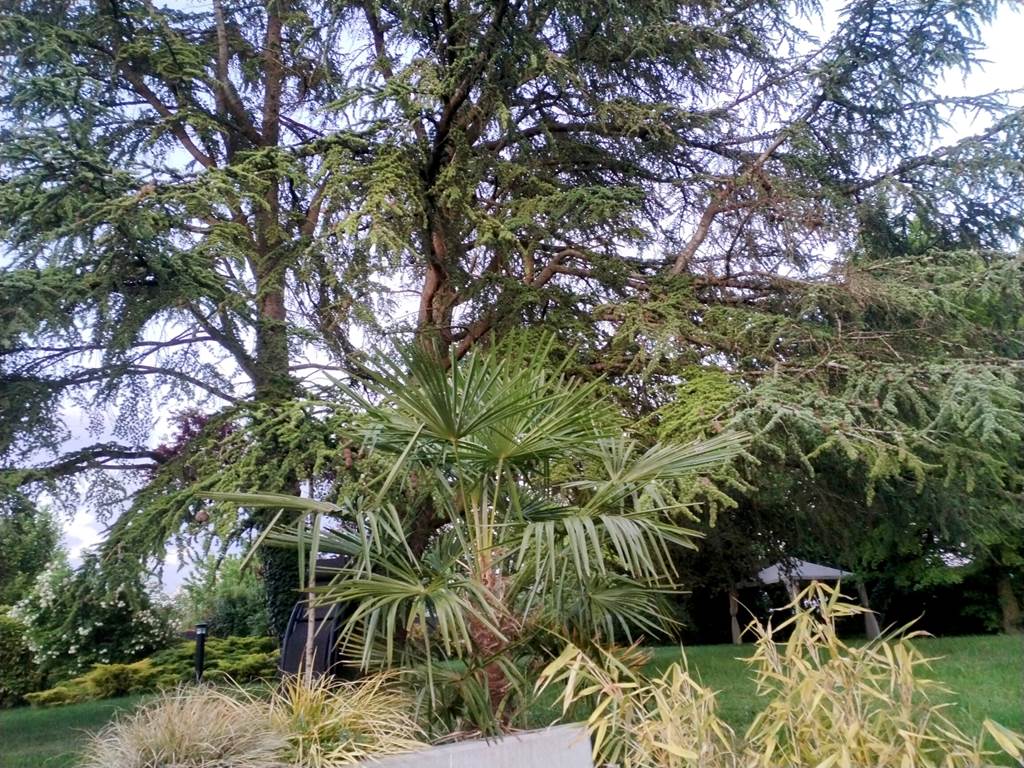 IMG_20250513_211832~2