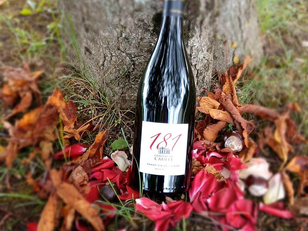 chinon rouge 181 sans soufre