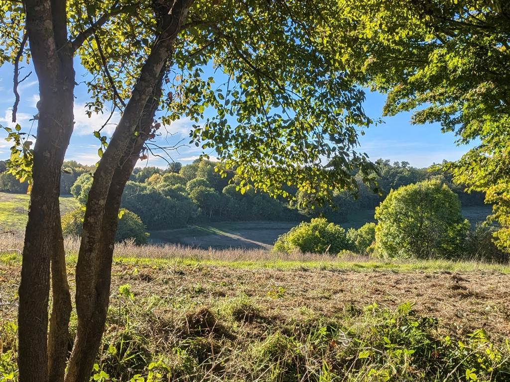 Nature environnante