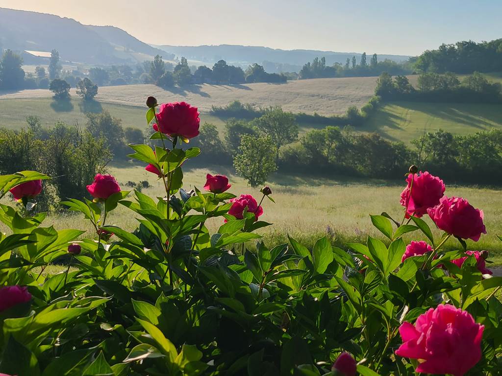 20250516_075148