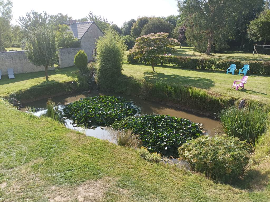 relaxation-chant-d'oiseaux-ombre-fraicheur-tranquilité-repos-terrasse