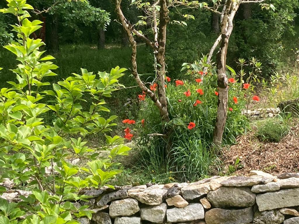 Mur en pierres du jardin