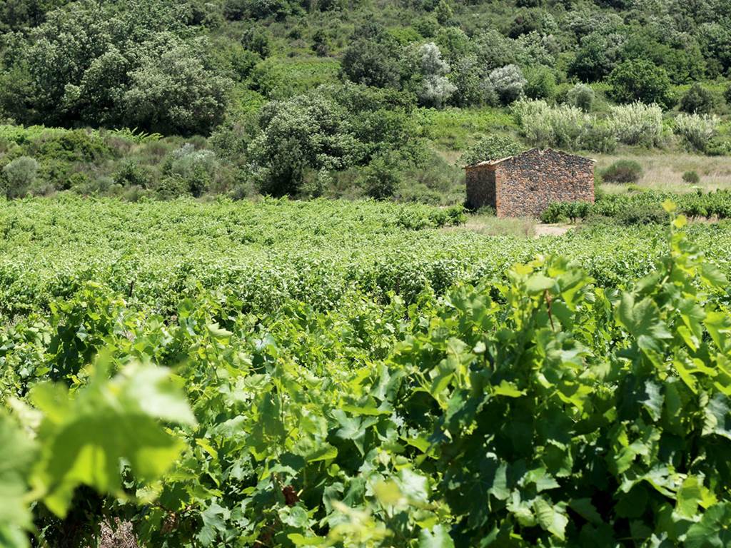 portfolio-paysage-01