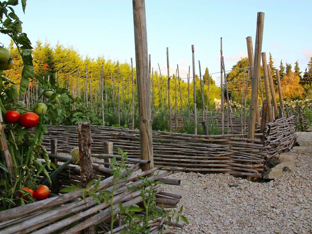 potager-saint-remy-de-provence-bio