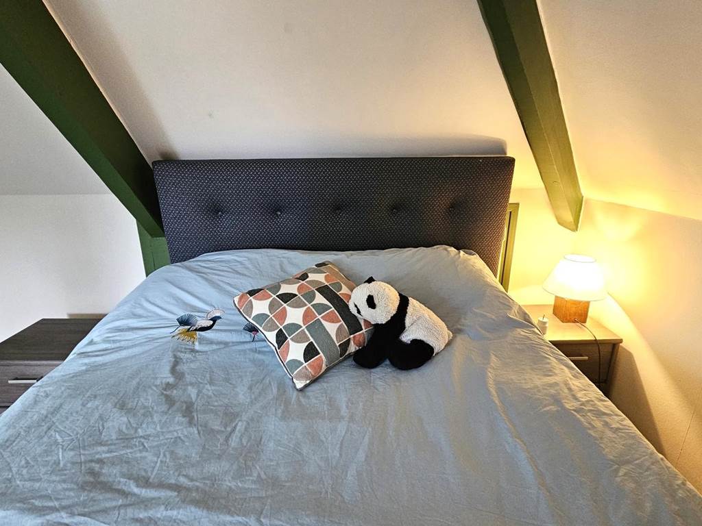 Gîte n°19G2238 "Pool house" – BRIVE LA GAILLARDE