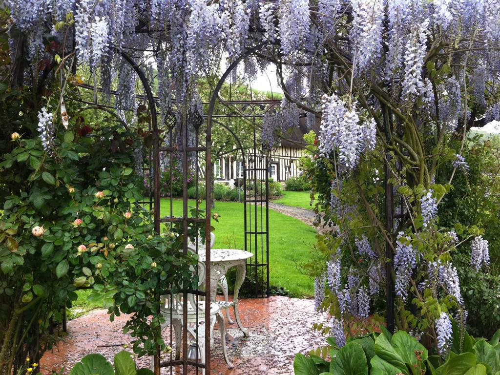 glycine