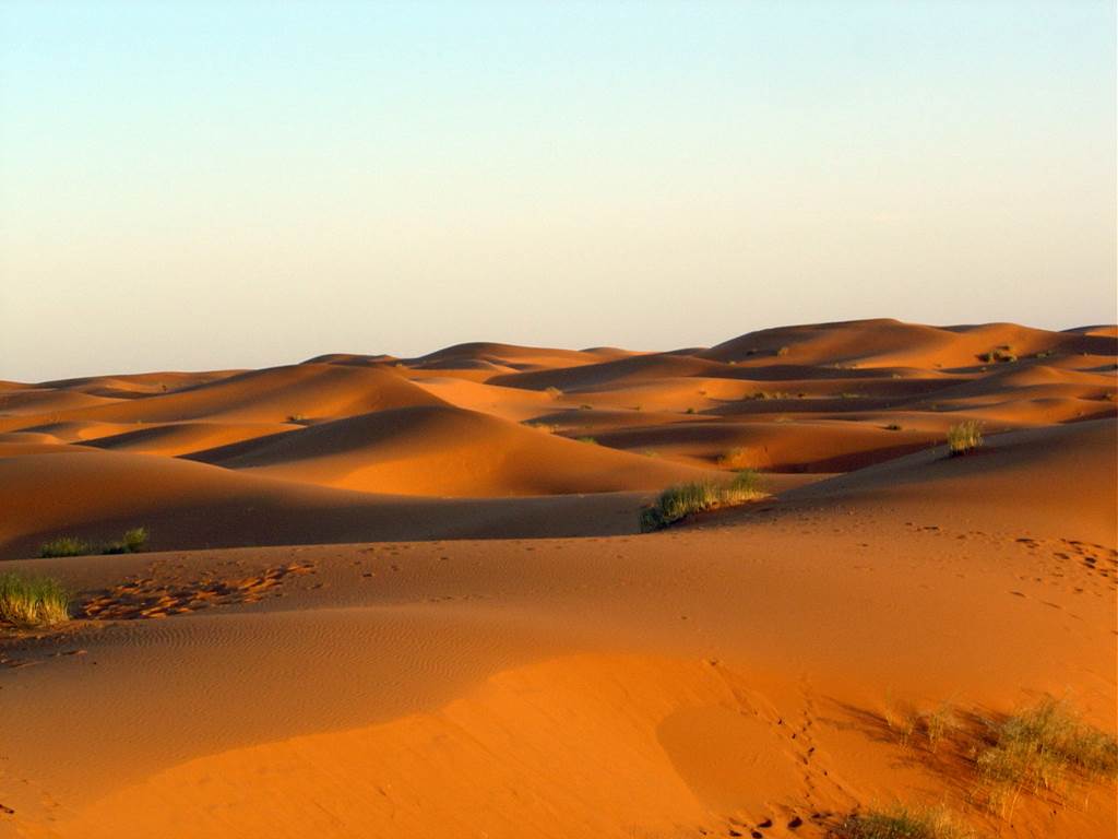 Les dunes de l'erg Chebbi