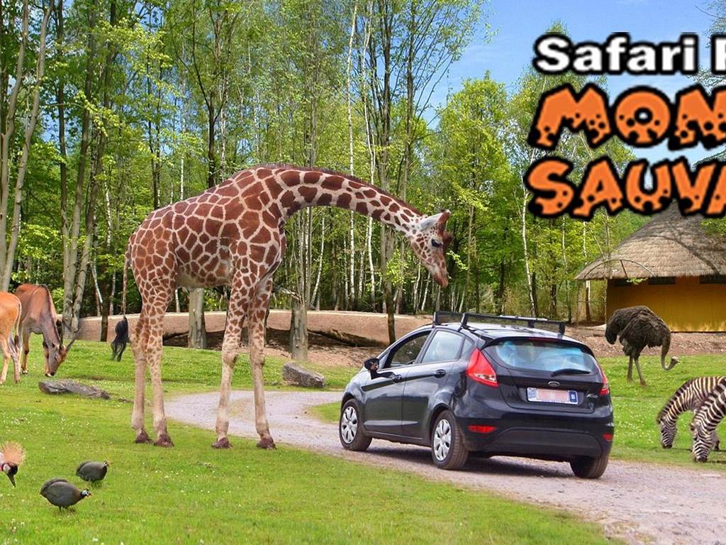 Visite du Monde Sauvage revu par son nouveau propriétaire