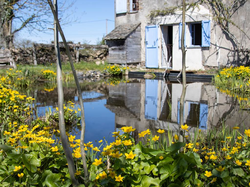 etang-fleurs-maison-hotes-aveyron