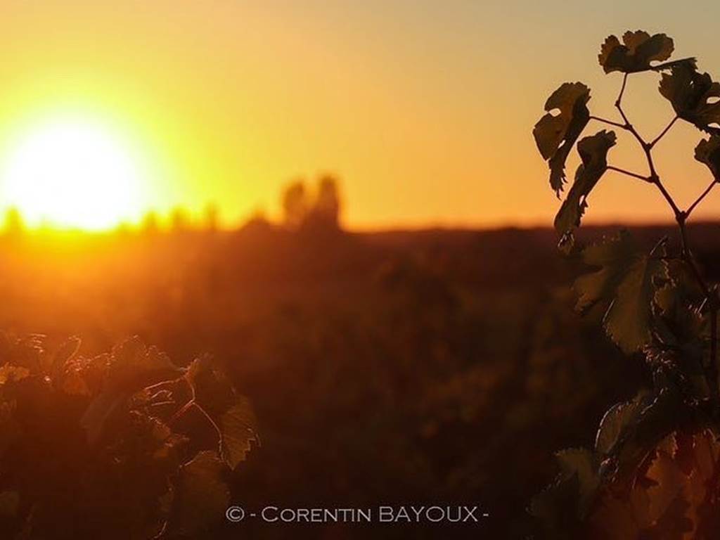 Maison de Jean située en plein cœur du Château Haut Bourcier