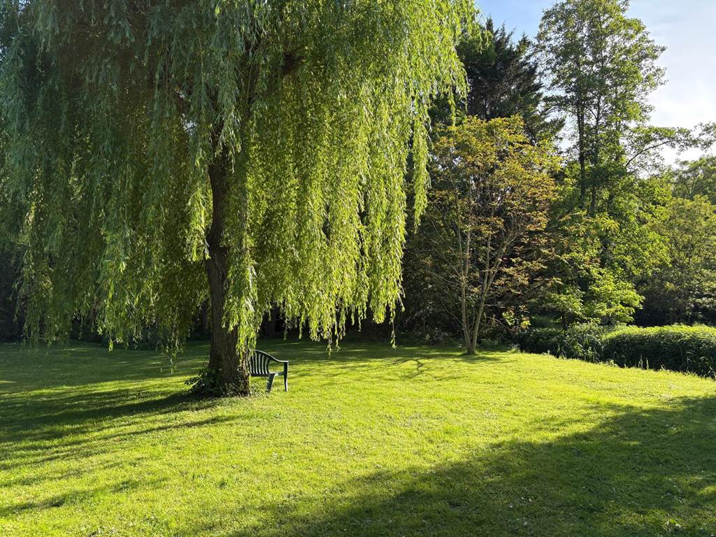 Jardin banc