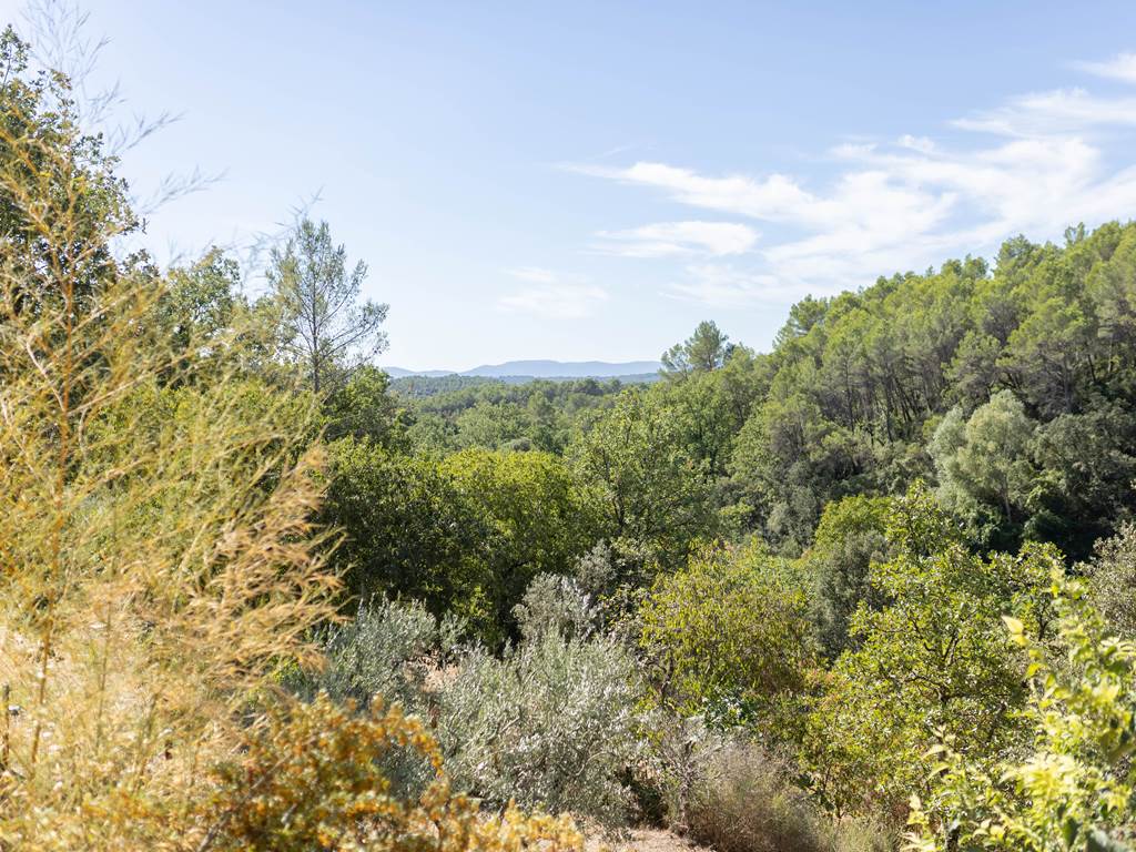 Vue sur La Foret Casa Ammirati Flayosc