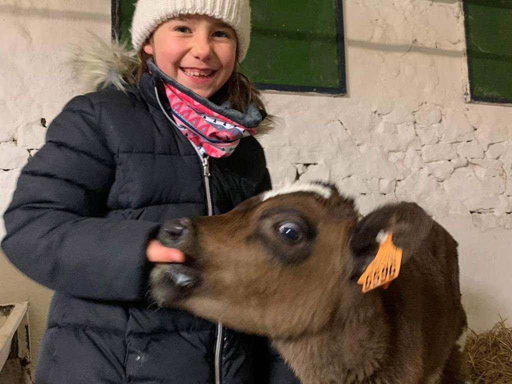animaux de la ferme