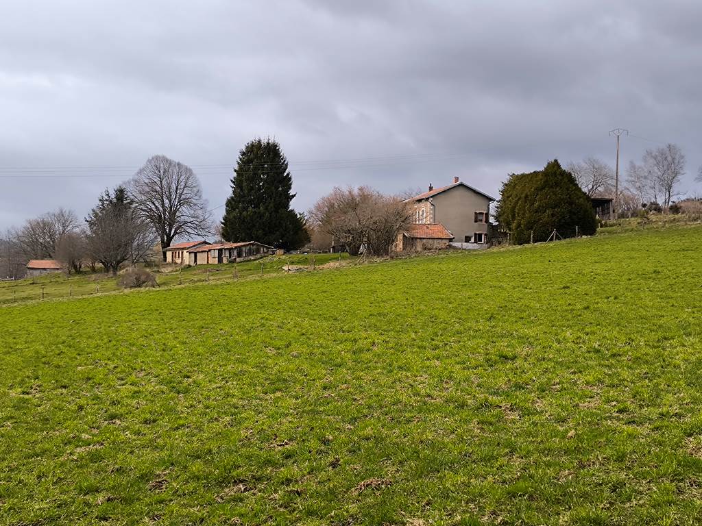 Halte du Pèlerin - vue du pré - printemps 2025
