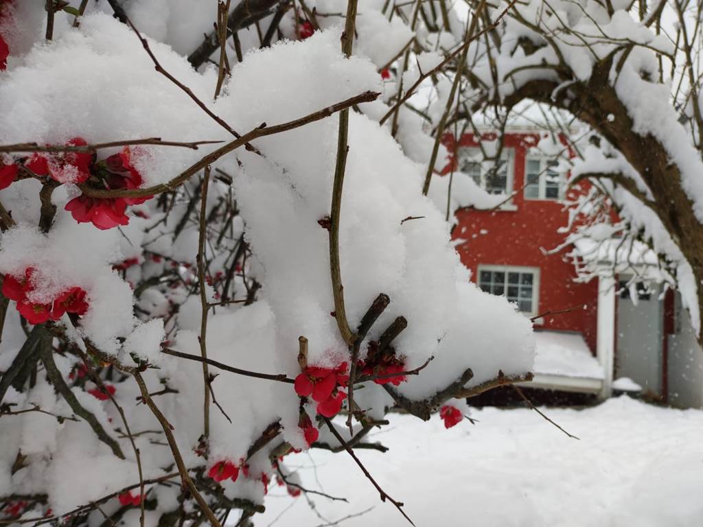 Pays Basque, Pyrénées, Soule, Kakouetta, La Verna, Sainte Engrâce, la Pierre St Martin