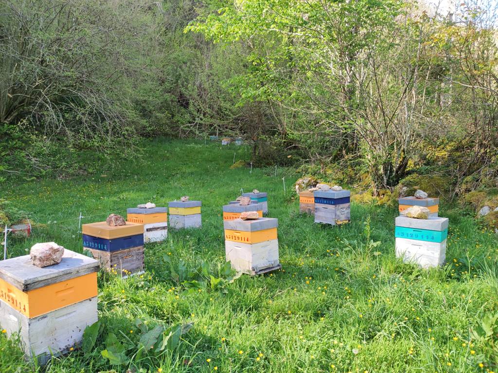 Pays Basque, Pyrénées, Soule, Kakouetta, La Verna, Sainte Engrâce, la Pierre St Martin