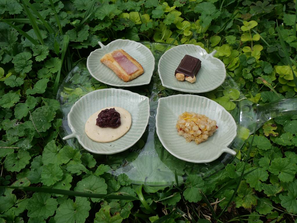P1001242