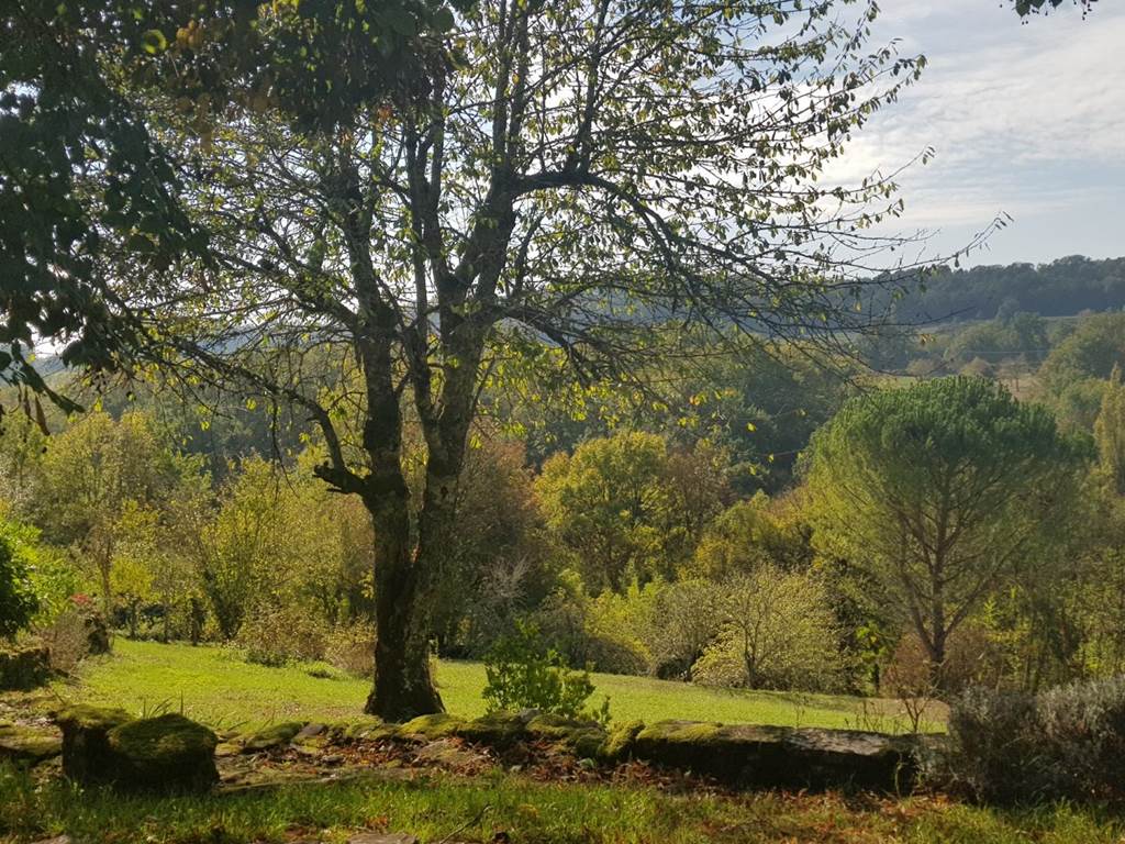 Gîte n°19G2062 "Hautefort" – COLLONGES LA ROUGE