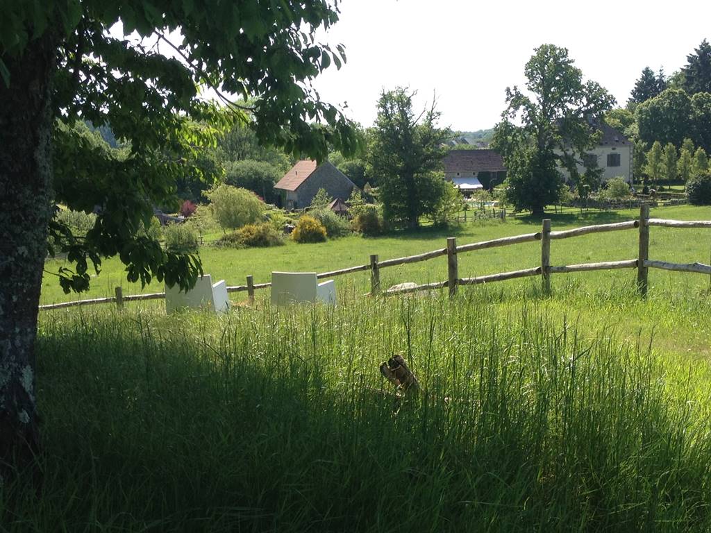 vue depuis le petit bois du Domaine de Louveraude