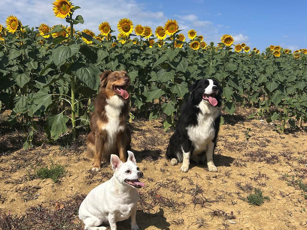 photo_2 - 2025-11-02T194839.331