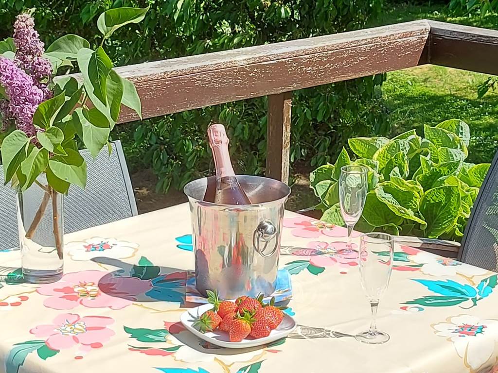 16-terrasse-champagne-fraises-gite-lecureuil-namur-wepion.jpg