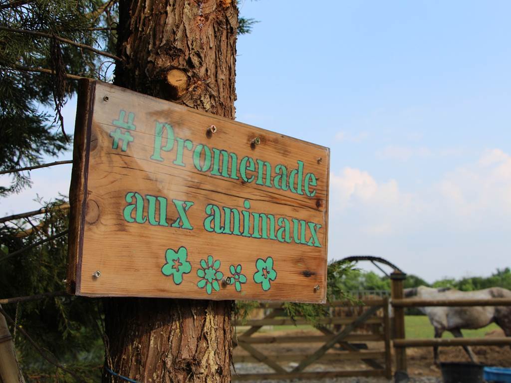 gite_de_groupe_sarthe_campagne_ballade_animaux_hameau_des_deux_ailes