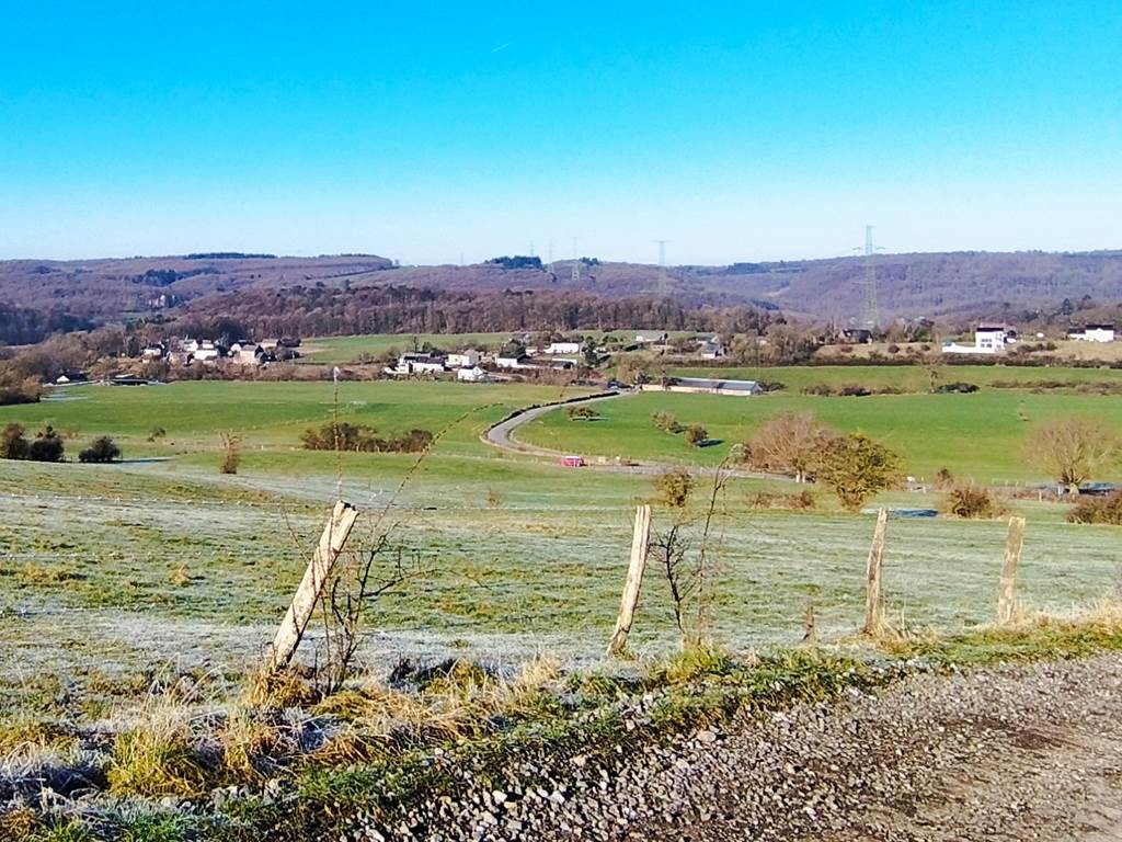 Toute la région est arborée
