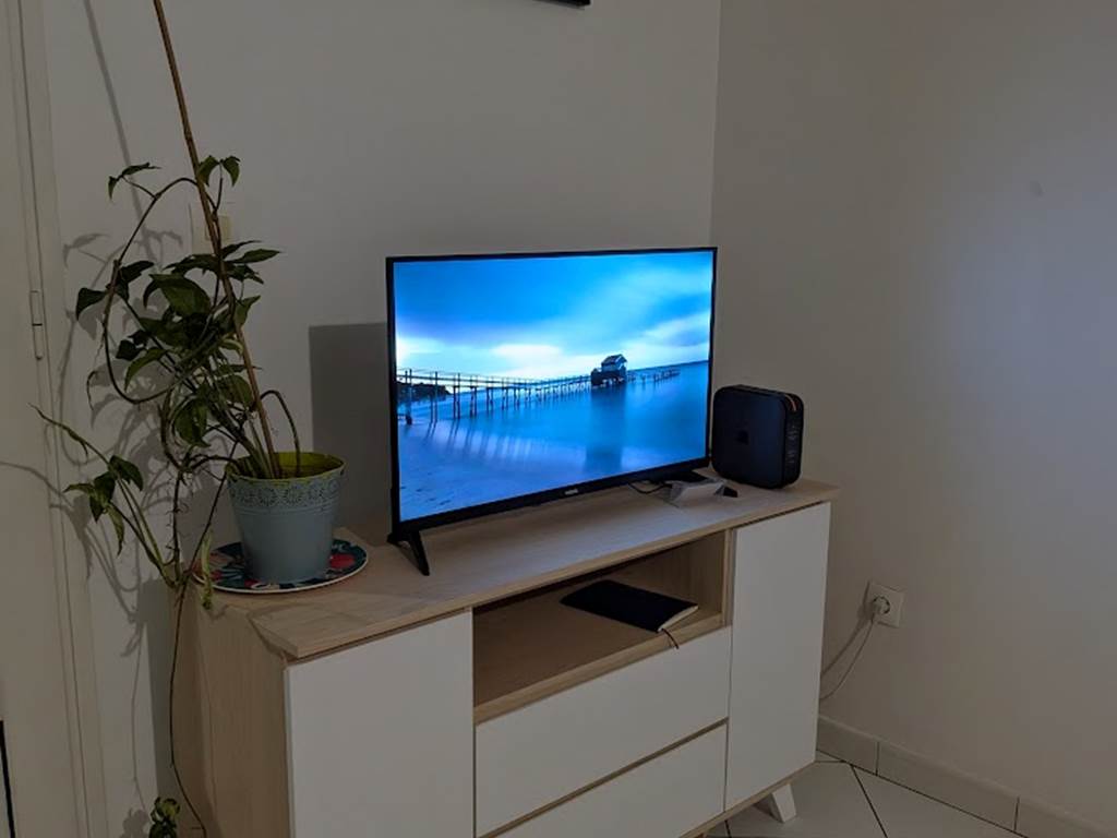 T2 Le frangipanier