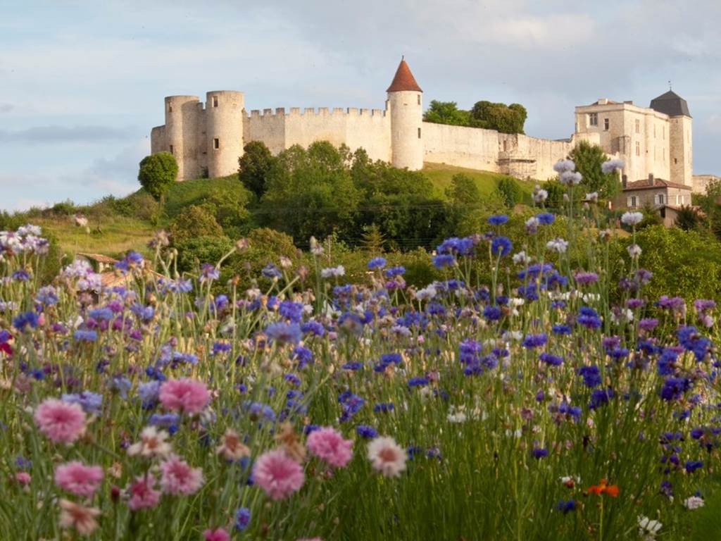 Chateau-de-Villebois-Lavalette