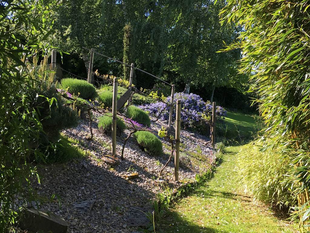 jardin printemps