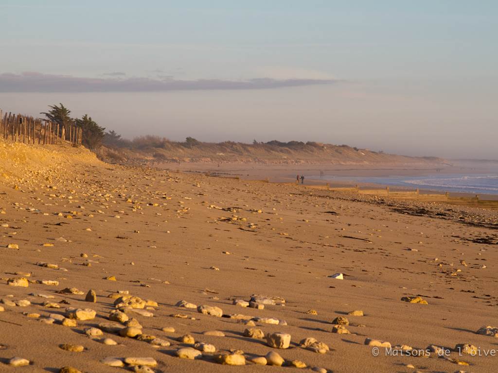 plage_re´_automne