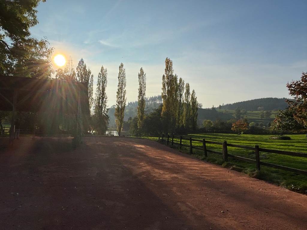 Terrain de boules et abri
