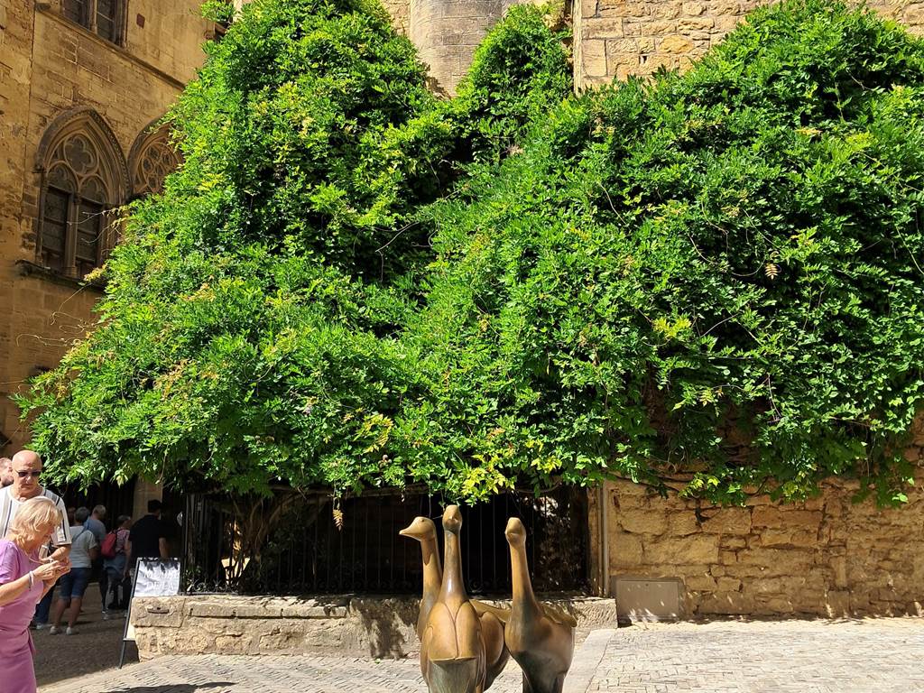 Sarlat la canéda