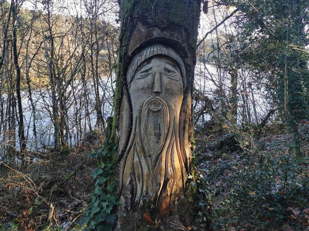 Les arbres sculptés