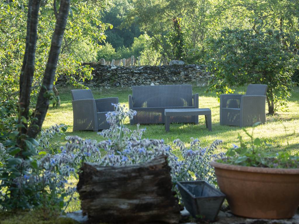 dans le petit jardin