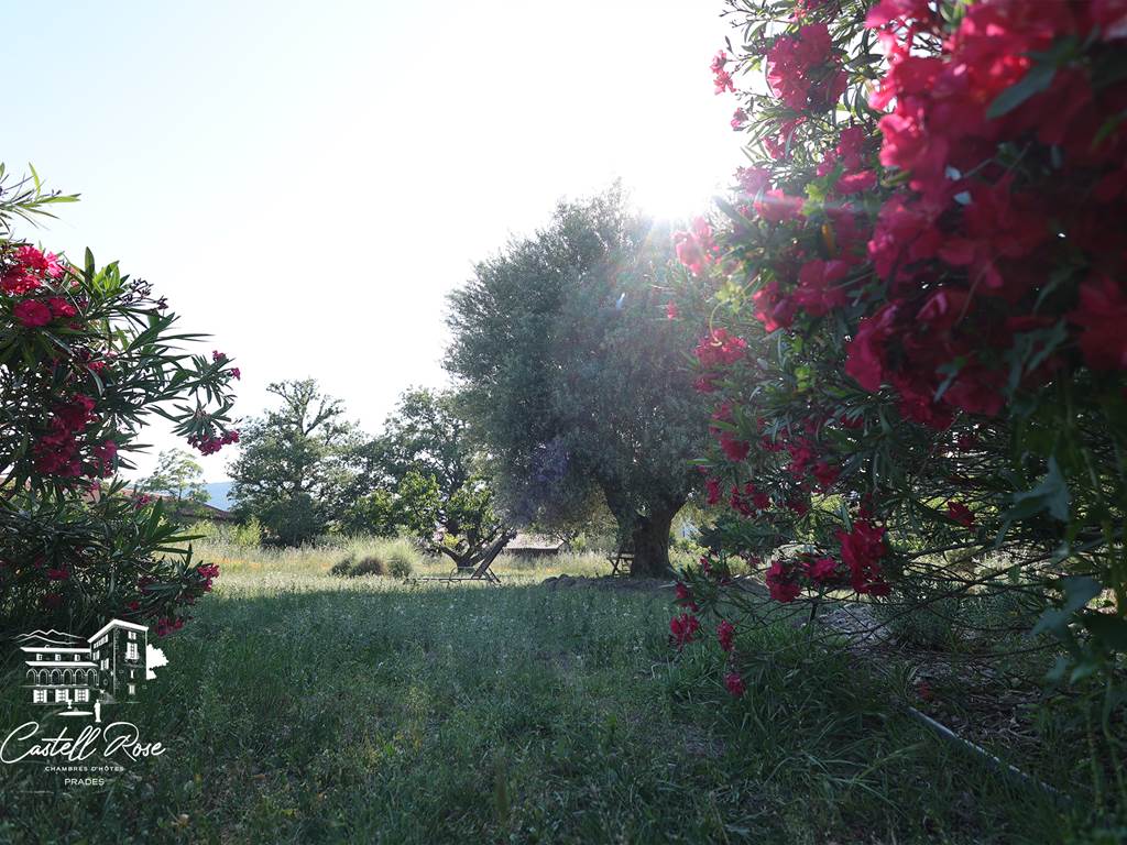 Jardin et Herbes Hautes, quand il fait chaud