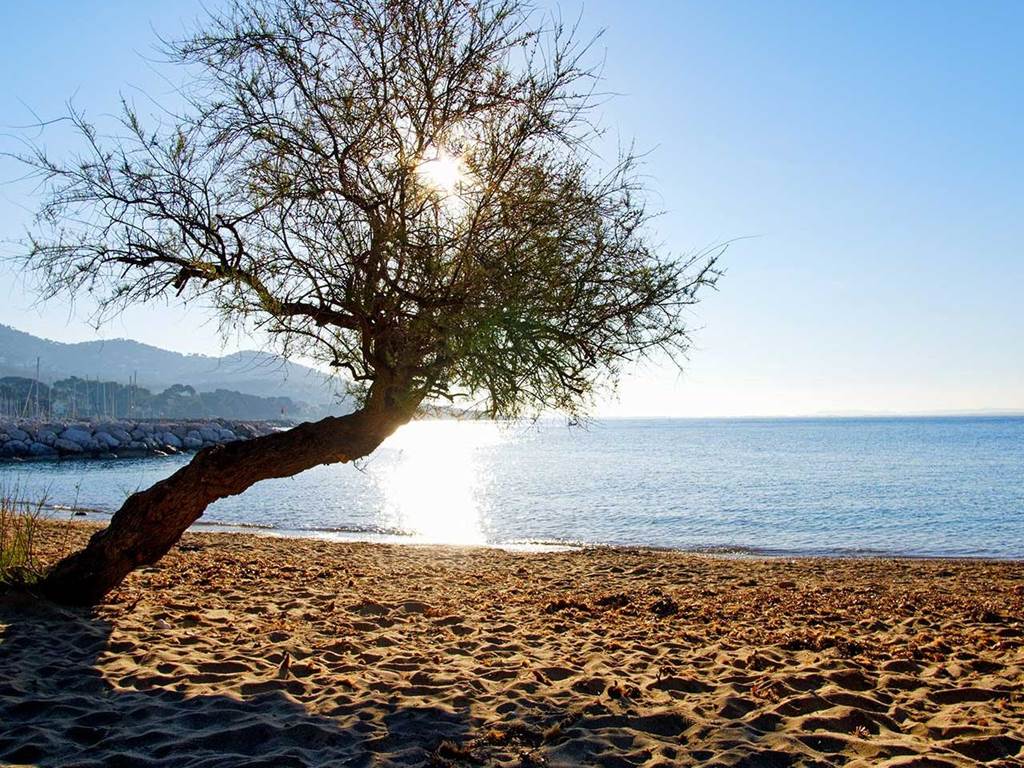 plage-carqueiranne-var-1920x960