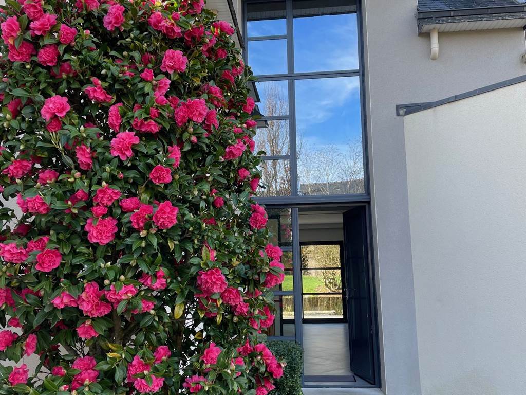 Villa Emeraude Camélia entrée