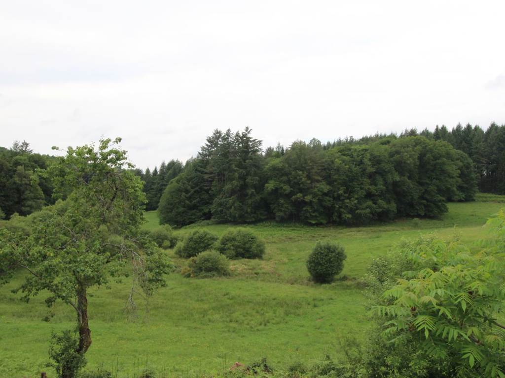 Gîte n°87G5251 "Chalendeix" – NEDDE