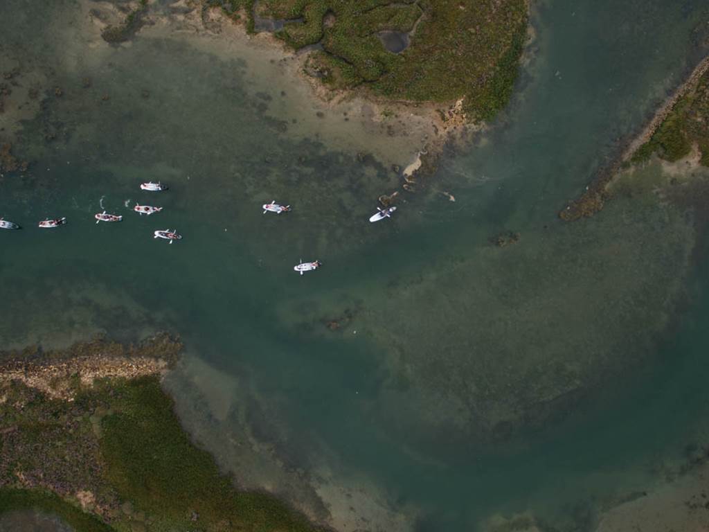 balade en canoe - ile de re