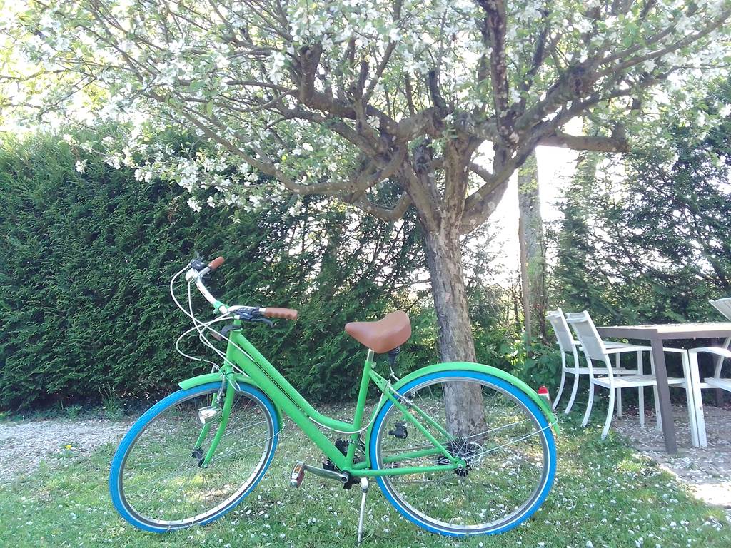 La-Bicyclette-du-Gïte-de-Josefine-et-Voltaire-Ornex-Ferney-Voltaire
