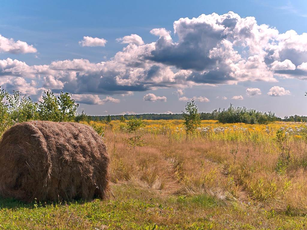 Paysage Limousin